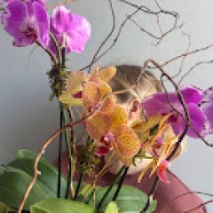 Seller Image